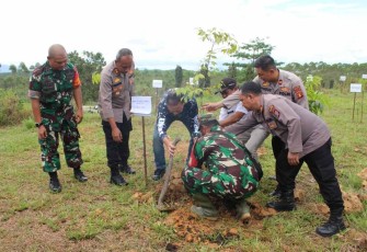 Dandim 0913/PPU saat tanam pohon peringati HUT IMBI Ke-35