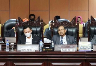 Foto Wakil Ketua DPD RI 