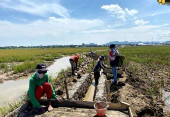 Jaringan irigasi program PKT di Kabupaten Sidrap provinsi Sulsi