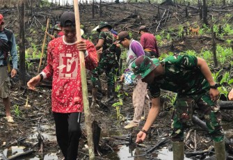 Satgas Yonarmed 19/105 Trk Bogani saat menanam padi di perbatasan 
