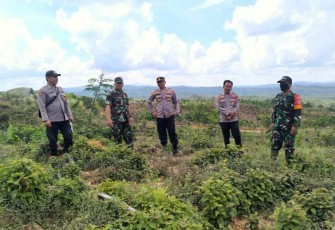 Sinergitas TNI-POLRI di perbatasan 