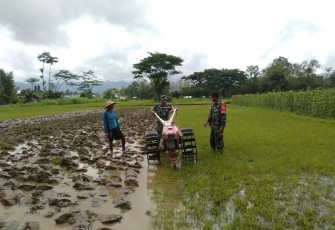 Pengolahan lahan sawah di wilayah binaan