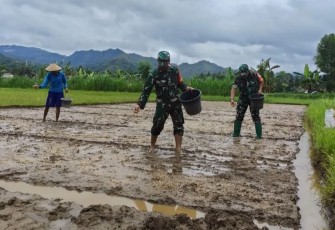 Pendampingan ketahanan pangan