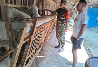 Pengecekan kesehatan ternak warga binaan 
