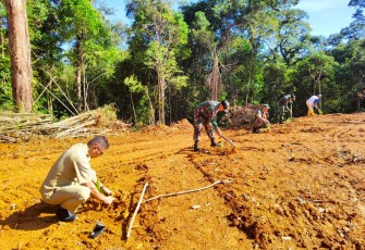 Gerakan Menanam Pohon Indonesia di perbatasan 