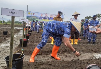 Kasau Marsekal TNI Fajar Prasetyo saat menanam sorgum di lahan lanud SUT Padang, Selasa (29/11)