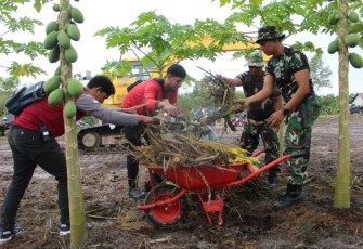Pembersihan areal kebun percontohan Kopka Gampang RT 07 Desa Giripurwa Kecamatan Penajam, Minggu (4/12)