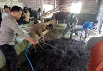 Pelatihan pembuatan pupuk organik 