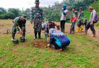 Penanaman pohon buah cegah longsor di wilayah desa Gondang gunung 