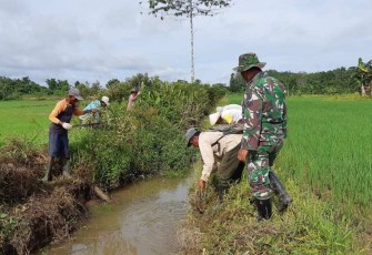 Gotong-royong pembersihan saluran air persawahan 
