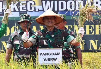 Pangdam V Brw Mayjen TNI Nurchahyanto saat panen raya padi Japonica di Kabupaten Ngawi