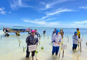 Danlanal Ternate Kolonel Marinir Ridwan Azis saat tanam bibit mangrove di Kepulauan Widi