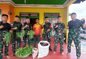 Hasil pertanian ketahanan pangan Satgas Yonarmed 19 