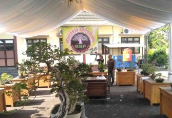 KBP salah satu stand di Pragolo Pati Festival  dengan produk tanaman bonsai 