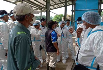 Partisipan asal Palestina saat berkunjung di komplek pejantan unggul BBIB Singosari, Rabu (14/12/2022).