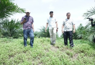 Tim Pemkab Asahan saat tinjau langsung lokasi, Kamis (29/09/2022).
