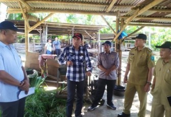 Anggota DPRD Kota Bengkulu Dedy Yanto