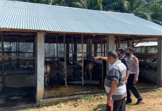 Bhabinkamtibmas saat Bergerak Rutin Monitoring Ternak