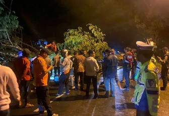 Pasca proses evakuasi pohon tumbang halangi jalan, Kamis malam (07/04/2022).