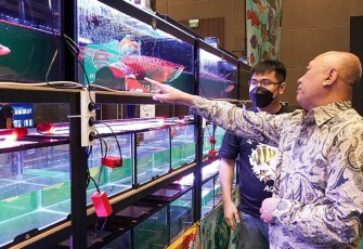 MenKopUKM Teten Masduki pada pembukaan Kalikan Expo 2022, yang merupakan pameran ikan hias air tawar terbesar di Indonesia, di JI-Expo Kemayoran Jakarta, Jum'at (14/10/2022).