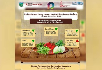 Perkembangan harga pangan strategis Kota Padang Panjang