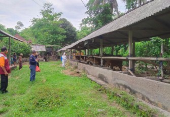 Satgas PMK Nasional saat Tinjau Aktivitas Biosecurity di Karangasem