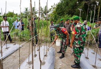 Sosialisasi Pupuk Cair Lestari Bagi Kelompok Tani 