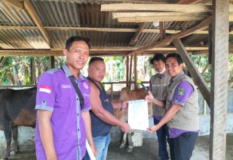Pemkab Asahan Lakukan Pemeriksaan Hewan Qurban