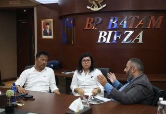 Negara Eropa Mulai Lirik Batam Sebagai Tujuan Investasi