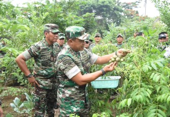 Pangdam Jaya Pimpin Pencanangan Urban Farming Serentak di Wilayah Kodam Jaya