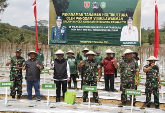 Kodim 0906/Kutai Kartanegara Gelar Ketahanan Pangan di 5 Titik Wilayah 