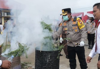 Kapolda Bengkulu saat musnahkan 32 Batang Ganja temuan Satresnarkoba Polres Bengkulu Tengah dari kebun seluas 1,5 hektare di Desa Tebat Karai Kabupaten Kepahiang.