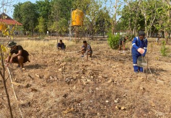 Lanudal Kupang Ubah Lahan Tandus Berkarang Jadi Lahan Konservasi Gaharu dan Cendana