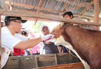 Acara Kick off pengendalian dan penanggulangan PMK tahun 2023 di Kelompok Tani Kociak, Kelurahan Tigo Koto Dibaruah, Kecamatan Payakumbuh Utara.