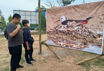 Salah satu karya foto yg digelar diluar ruang