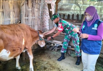 Vaksinasi PMK ternak warga binaan