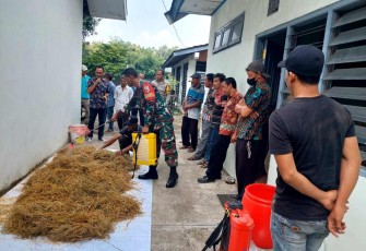 Pelatihan Pembuatan Jamu Dan Pakan Ternak
