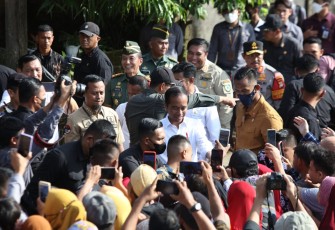 Presiden Jokowi ditengah masyarakat saat panen raya padi
