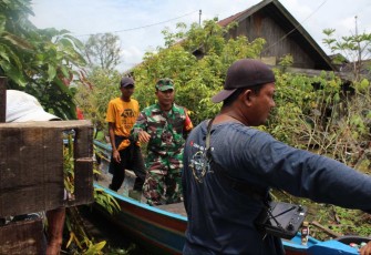 Penyemprotan gulma di area rawa