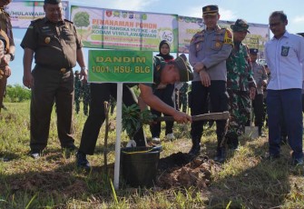 Dandim 1001/HSU-BLG Letkol Inf Dhuwi Hendradjaja saat menanam pohon, Senin (10/7)