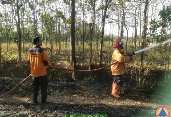 Petugas BNPB Kab Sragen ketika padamkan kebakaran lahan, Rabu (18/7)