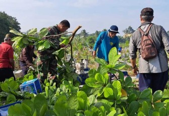 Babinsa Sertu Abdul Aziz Kerja Bakti Bersihkan Makam