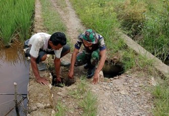 Bangun jalan usaha tani di wilayah desa Tariwin, Senin (18/9)