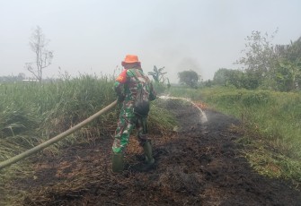 Personil Kodim 1001/HSU-BLG Serma Salim saat berusaha padamkan karhutla di desa Tambak Sari Panji, Senin (25/9)