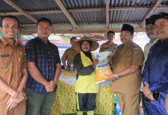 Benny Utama Serahkan Bantuan Bibit Jagung dan Kopi Kepada Sejumlah Kelompok Tani Duo Koto 