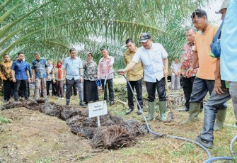 Bupati Batu Bara Tinjau Lokasi Dekomposer Pupuk Organik Limbah Sawit 