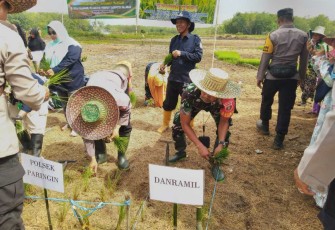 Ketahanan pangan menanam padi di wilayah binaan, Jum'at (20/10)