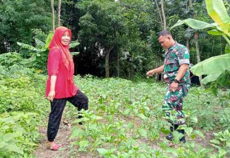 Pemanfaatan lahan belakang rumah warga 