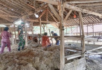 Vaksinasi PMK ternak warga binaan 