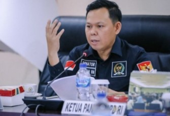 Wakil Ketua DPD RI Sultan B Najamudin 